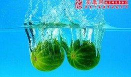 夜里梦见自己吃瓜,瓜果飘香，夜半梦回瓜田