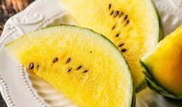 黑瓜网在线吃瓜,畅享在线吃瓜盛宴，揭秘娱乐圈幕后故事