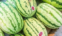 石头瓜是硒沙瓜吗怎么吃,独特吃法揭秘