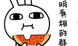 笑脸吃瓜,探寻快乐生活的秘诀