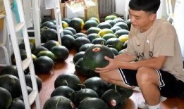 下班晚宿舍吃瓜,共享瓜香时光