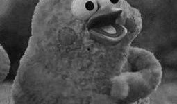 黑鸟吃瓜视频,揭秘娱乐圈幕后真相