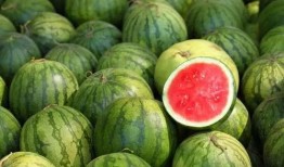 2019年最全吃瓜,2019年度娱乐圈吃瓜大事件全记录