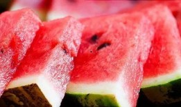 吃瓜专用网兜,尽在吃瓜专用网兜