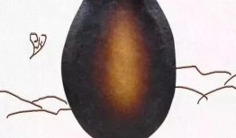 吃瓜的脑子不灵活,脑力不足的欢乐日常