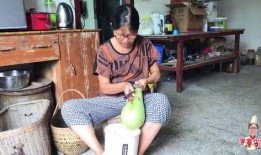 印度人吃葫芦瓜视频播放,葫芦瓜的独特风味引网友热议