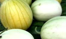 吃瓜有赏,揭秘娱乐圈幕后故事