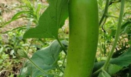 2023年开年吃瓜,娱乐圈风云再起，明星八卦盘点