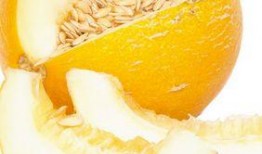 吃棱瓜过敏吗,食用棱瓜需谨慎