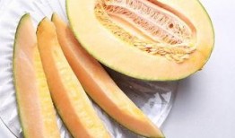 咳嗽可以吃哈密瓜么