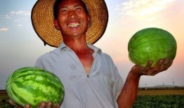 小区吃瓜头像,邻里间的欢乐时光与八卦风云