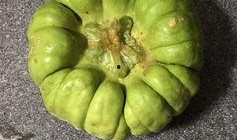 西昌吃瓜视频,揭秘当地美食文化盛宴