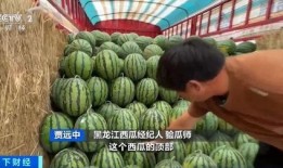 钩花吃瓜,探寻传统技艺与现代生活的完美融合