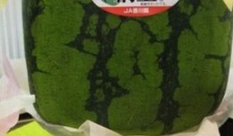 大悟吃瓜事件,一场网络狂欢背后的真相与反思