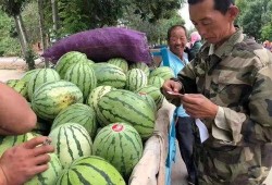 吃瓜宝藏屋,探寻娱乐圈幕后故事与趣味瞬间