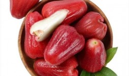 莲雾吃瓜短视频,趣味横生的短视频盛宴