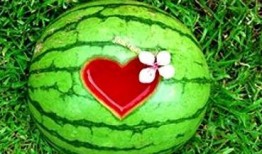 梦见自己吃里瓜,揭秘吃里瓜的神秘寓意