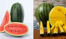 942412吃瓜群,一场网络热议背后的真相