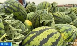 有点热吃瓜,吃瓜消暑，揭秘娱乐圈那些事儿