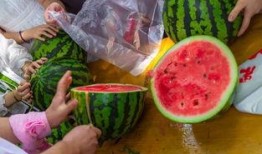 吃瓜夏天学生,吃瓜学生们的欢乐时光