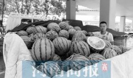 中牟吃大瓜,揭秘当地特色美食背后的故事