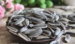 吃瓜子吃大瓜视频,揭秘吃瓜子大瓜的趣味之旅