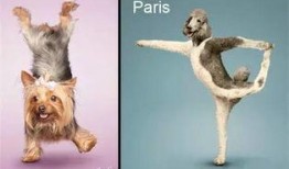 带你吃瓜动物照片大全,带你领略趣味横生的动物照片大全