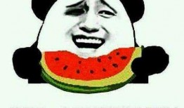 吃瓜群众的演讲