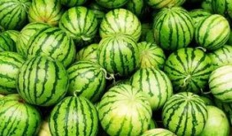 白老板吃瓜,揭秘娱乐圈幕后真相