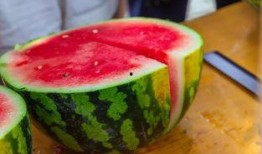 吃瓜夏天学生,吃瓜学生们的欢乐时光