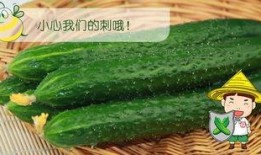 六零后吃瓜,见证时代变迁的“吃瓜群众”