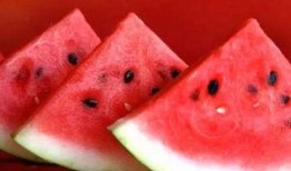 吃二月瓜,探寻民间美味与养生之道