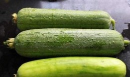 吃了水瓜可不可以吃鸡,同食相宜还是禁忌？