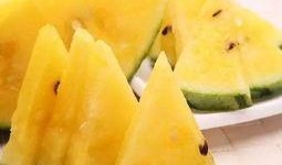 带你吃瓜做菜,瓜果蔬菜的创意烹饪之旅