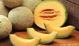 咳嗽可以吃哈密瓜么