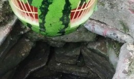 吃瓜捕鱼神器,轻松捕鱼，尽享乐趣