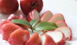 莲雾吃瓜短视频,趣味横生的短视频盛宴