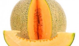 吃哈密瓜后牙疼,揭秘吃瓜后牙疼的真相