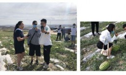 打野吃瓜站姿,揭秘电竞选手的独特站姿之谜