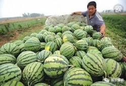 吃瓜上哪里找,带你领略网络热点的魅力