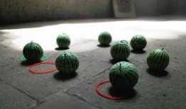 台州温岭新河吃瓜