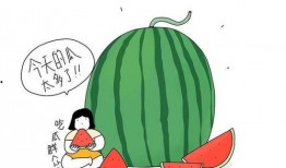 吃瓜群众看世界事,吃瓜群众视角下的世界风云变幻