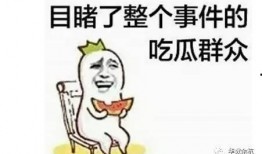 吃瓜群众能看吗,揭秘“吃瓜群众”视角下的娱乐圈风云