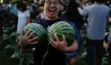 现代学校吃瓜事件,揭秘现代校园里的“瓜田李下”现象