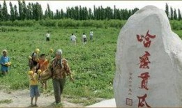 路上吃哈密瓜,哈密瓜的甜蜜诱惑