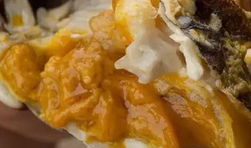 西宁阿妈吃瓜,一场味蕾与传统的邂逅