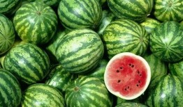 2019年最全吃瓜,2019年度娱乐圈吃瓜大事件全记录