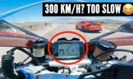 兰博吃瓜一休,揭秘娱乐圈幕后故事