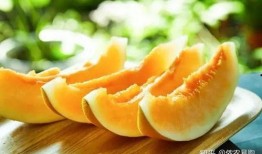 沙漠密瓜怎么吃,解锁美味新体验