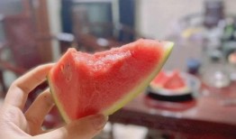 吃瓜宿友,一场宿舍里的欢乐盛宴